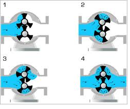 How a Rotary Pump Works