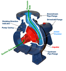 Centrifugal Pump Cross Section